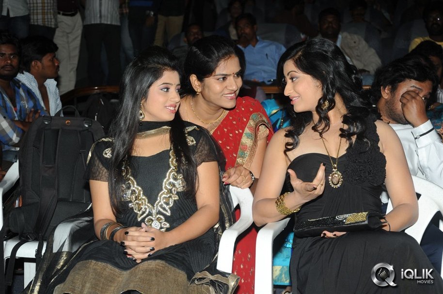 Cut-Chesthe-Movie-Audio-Launch